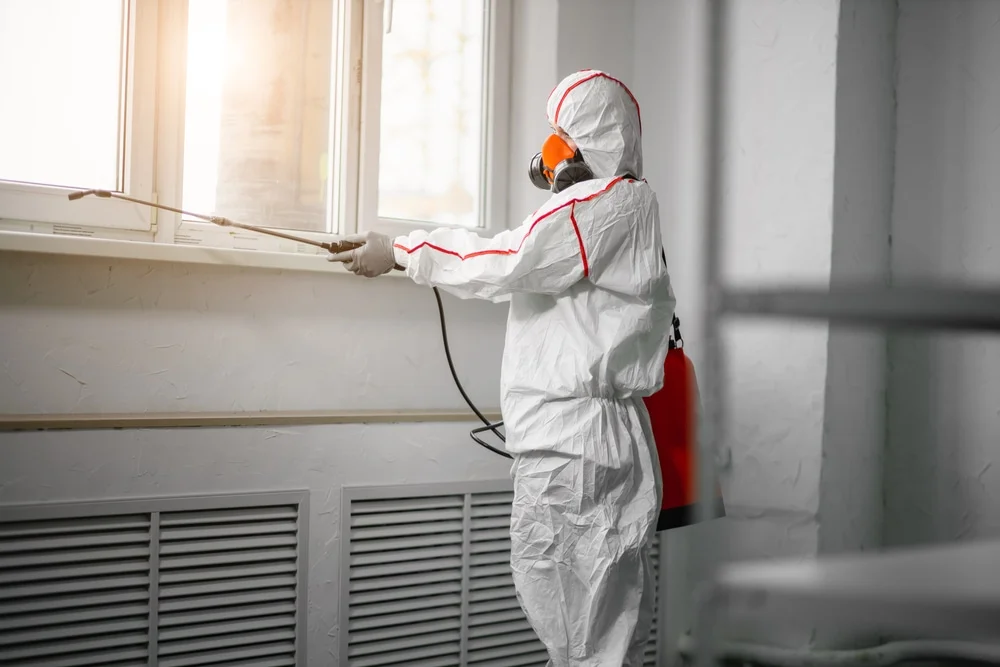 Professional mold remediation services in Canal Fulton, OH